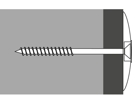 Illustration einer Schraube mit Dübel