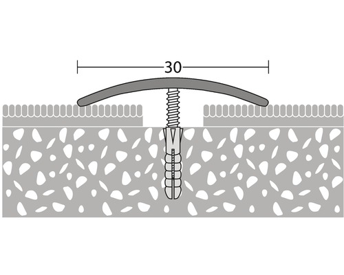 Illustration eines Übergangsprofils mit Schraube und Dübel, Breite 30