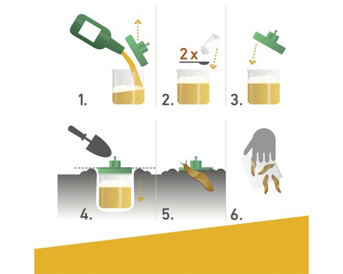 Anleitung zur Herstellung einer Schneckenfalle mit Bier und Salz