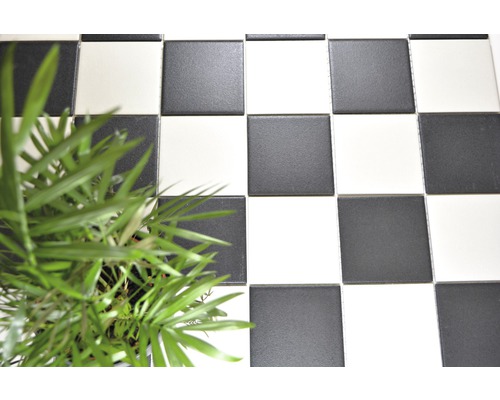 Schachbrettmuster mit Bodenfliesen und einer Grünpflanze