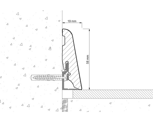 Illustration einer Sockelleiste mit den Maßen 19 Millimeter und 58 Millimeter.