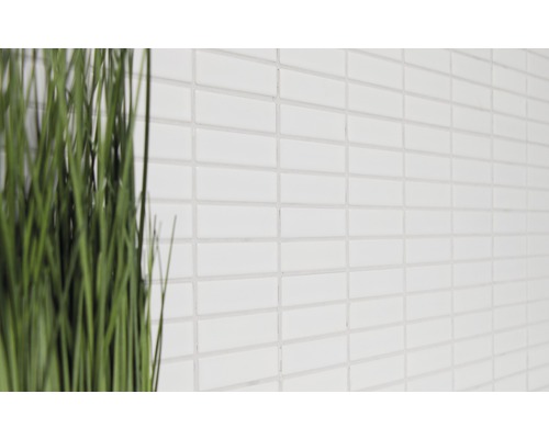 Wandfliesen aus Keramik im Badezimmer mit Pflanzendekoration