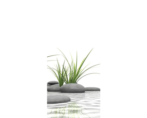 Dekorative Steine und Gräser im Wasser