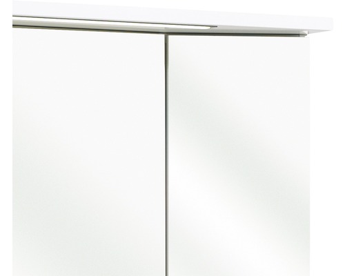 Detailaufnahme eines Spiegelschrankes mit zwei Türen