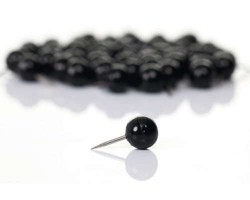 Reißnägel mit Kunststoffkopf