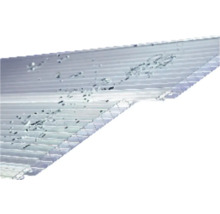 Polycarbonat Doppelstegplatte