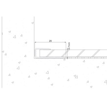 SKANDOR Einfassprofil silber eloxiert für 6-7 mm Böden 9x29x2700 mm