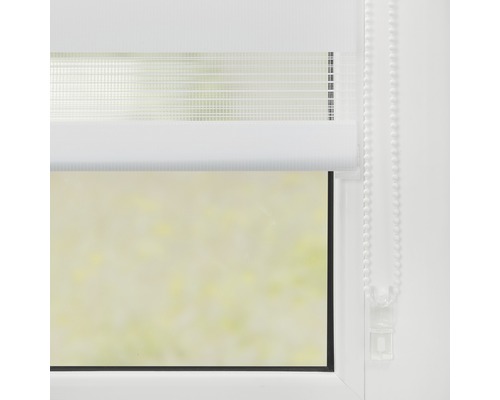 Fenster mit weißem Doppelrollo zur Lichtregulierung