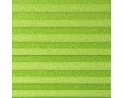 Grüne Plissee-Jalousie für Fenster