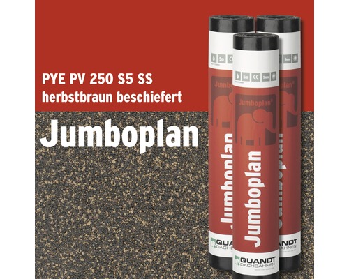 Quandt Bitumen Schweissbahn Jumboplan® PYE PV 250 S5 beschiefert herbstbraun 5 x 1 m Rolle = 5 m²