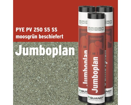 Quandt Bitumen Schweissbahn Jumboplan® PYE PV 250 S5 beschiefert moosgrün 5 x 1 m Rolle = 5 m²