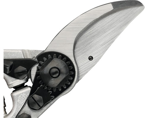 Detailaufnahme einer Getriebe-Gartenschere