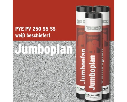 Quandt Bitumen Schweissbahn Jumboplan® PYE PV 250 S5 beschiefert weiß 5 x 1 m Rolle = 5 m²