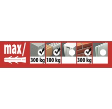Metrischer Langdübel Tox Control Ø 12/60 mm, 25 Stück