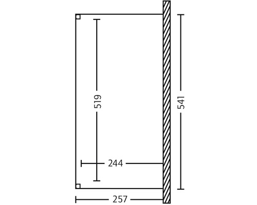 Technische Zeichnung mit Maßangaben: 519, 244, 257 und 541.