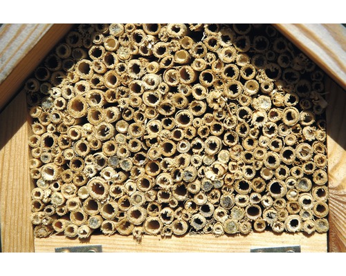 Insektenhotel mit Röhren