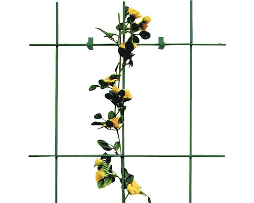 Gartenzaun mit Kletterpflanze