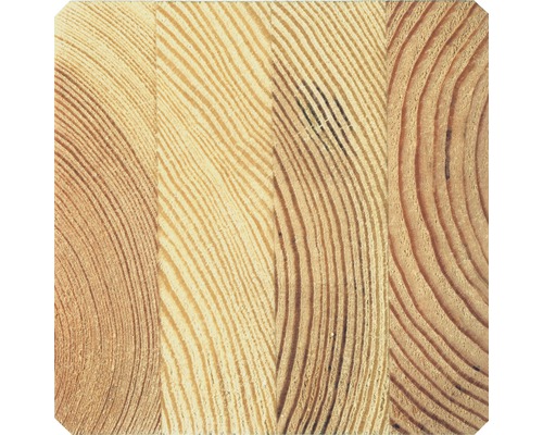 Holzstruktur im Detail