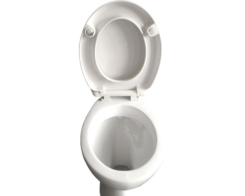 Toilettenschüssel mit offenem Toilettendeckel