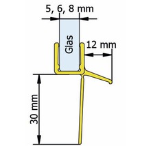 Technische Zeichnung eines Glasprofils mit Maßangaben
