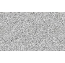 Handmuster zu FLAIRSTONE Granit Terrassenplatte Iceland white grau-thumb-0