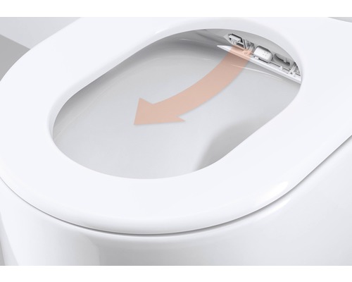Toilettensitz mit Absenkautomatik