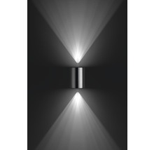 LED Außenwandleuchte dimmbar 2x4,5W 2x500 lm warmweiß H 140 mm Buxus edelstahl-thumb-2