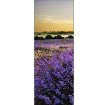 Lavendelfeld Landschaft bei Sonnenuntergang