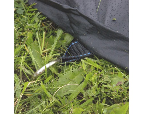 Detailansicht eines Zeltes, das mit einem Hering im Boden verankert ist.