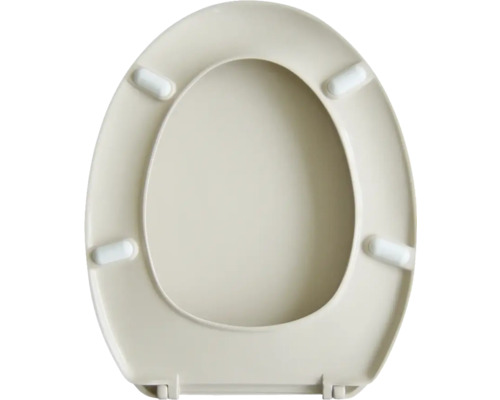 Toilettendeckel aus Kunststoff