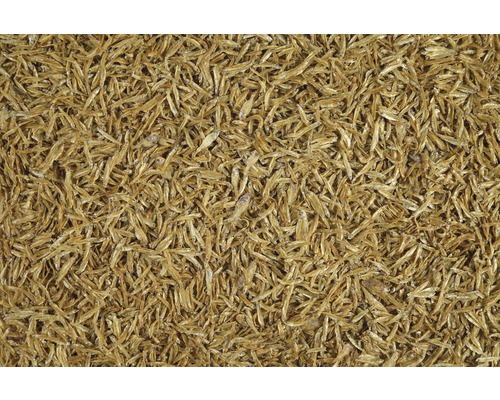 Nahaufnahme getrockneter Fische