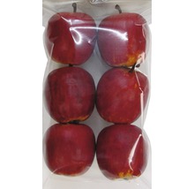 Sechs rote Kunstäpfel in einer Verpackung