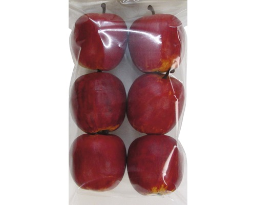 Sechs rote Kunstäpfel in einer Verpackung