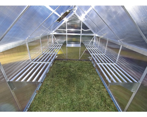 Innenansicht eines Gewächshauses mit Regalen