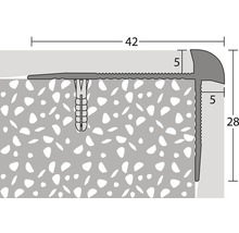 Illustration eines Übergangsprofils mit Abmessungen und Dübel
