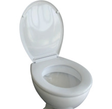 Toilette mit geöffnetem Deckel