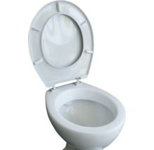 Keramik Toilette mit offenem Deckel