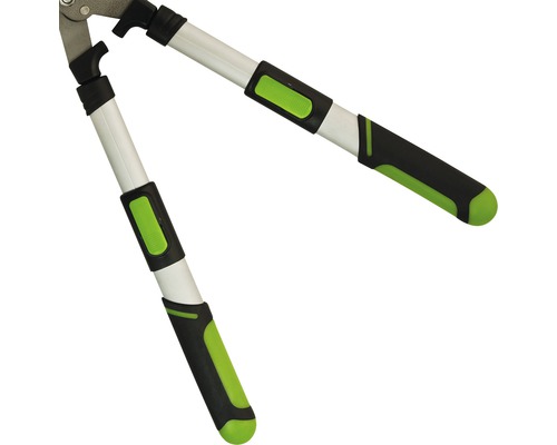 Gartenschere mit Teleskopstiel