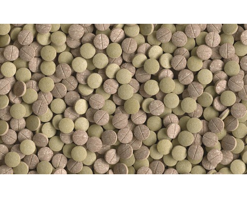 Viele Teichfischfuttertabletten