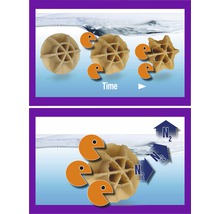Darstellung von Filtermedien zur Wasseraufbereitung