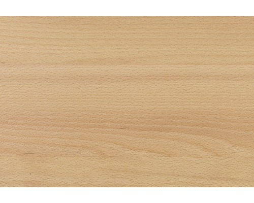 Holzstruktur Buche