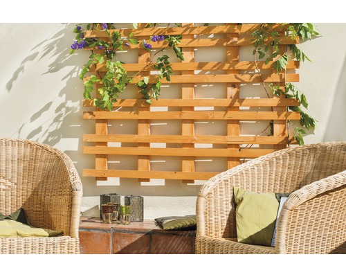 Holzspalier mit Kletterpflanzen und Gartenmöbeln im Aussenbereich