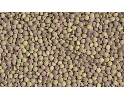 Nahaufnahme von Fischfuttertabletten