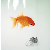 Goldfisch im Aquarium mit Stein