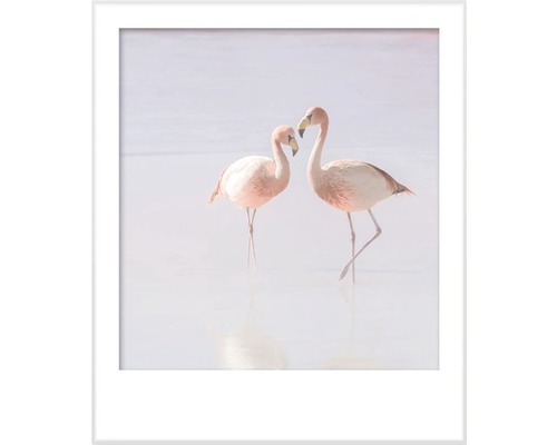 Gerahmtes Bild von zwei Flamingos