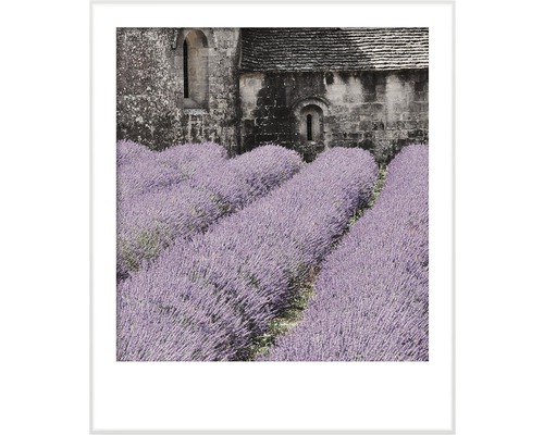 Gerahmtes Bild eines Lavendelfeldes vor einem Steingebäude