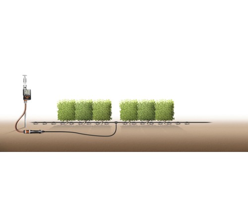 Gartenbewässerungssystem mit Zeitschaltuhr für Hecken