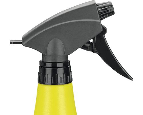 Sprühflasche mit Sprühkopf