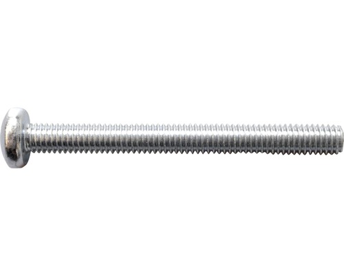 Eine einzelne Linsenkopfschraube aus Metall