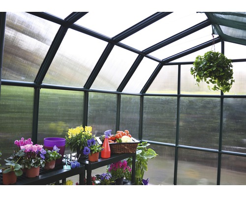 Innenansicht eines Gewächshauses mit Pflanzenregal und verschiedenen Blumen